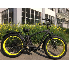 Hot Sale Fat Tyre Electric Bike with Strong Climb Ability